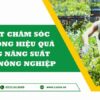 Bí Quyết Chăm Sóc Cây Trồng Hiệu Quả: Nâng Tầm Năng Suất Cho Nông Nghiệp Việt