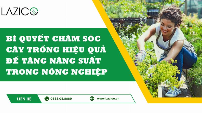 Bí Quyết Chăm Sóc Cây Trồng Hiệu Quả: Nâng Tầm Năng Suất Cho Nông Nghiệp Việt