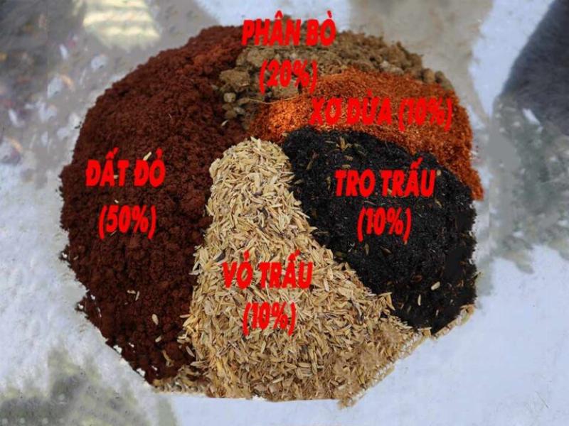 Bật mí cách trộn đất trồng cây cảnh hiệu quả cho người mới bắt đầu