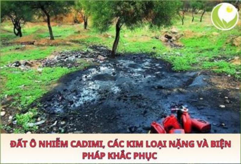 Chế phẩm sinh học HLC