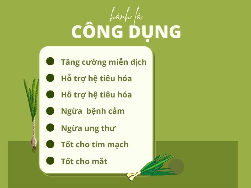 Bí Kíp Trồng Hành Lá Từ Củ Hành: Thu Hoạch Xanh Mướt Ngay Tại Nhà