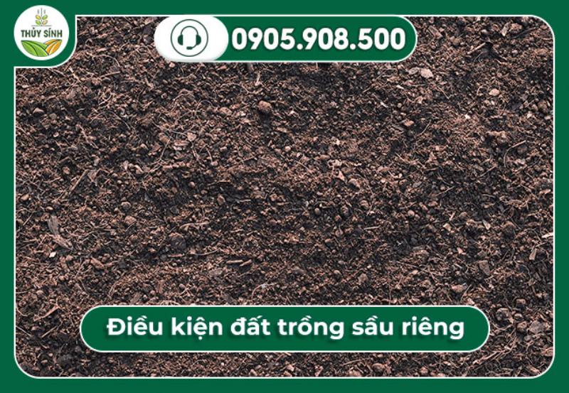  Điều kiện đất trồng sầu riêng