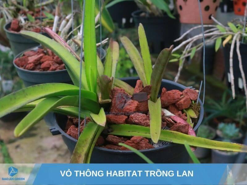 "Giá thể trồng lan" height=400