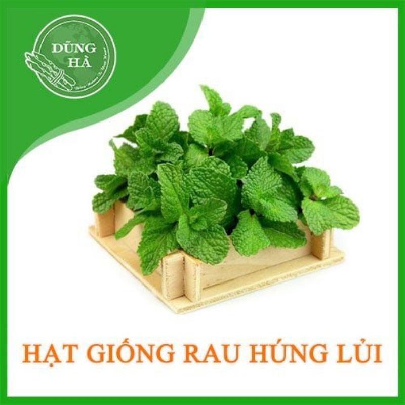 hat giong rau hung lui