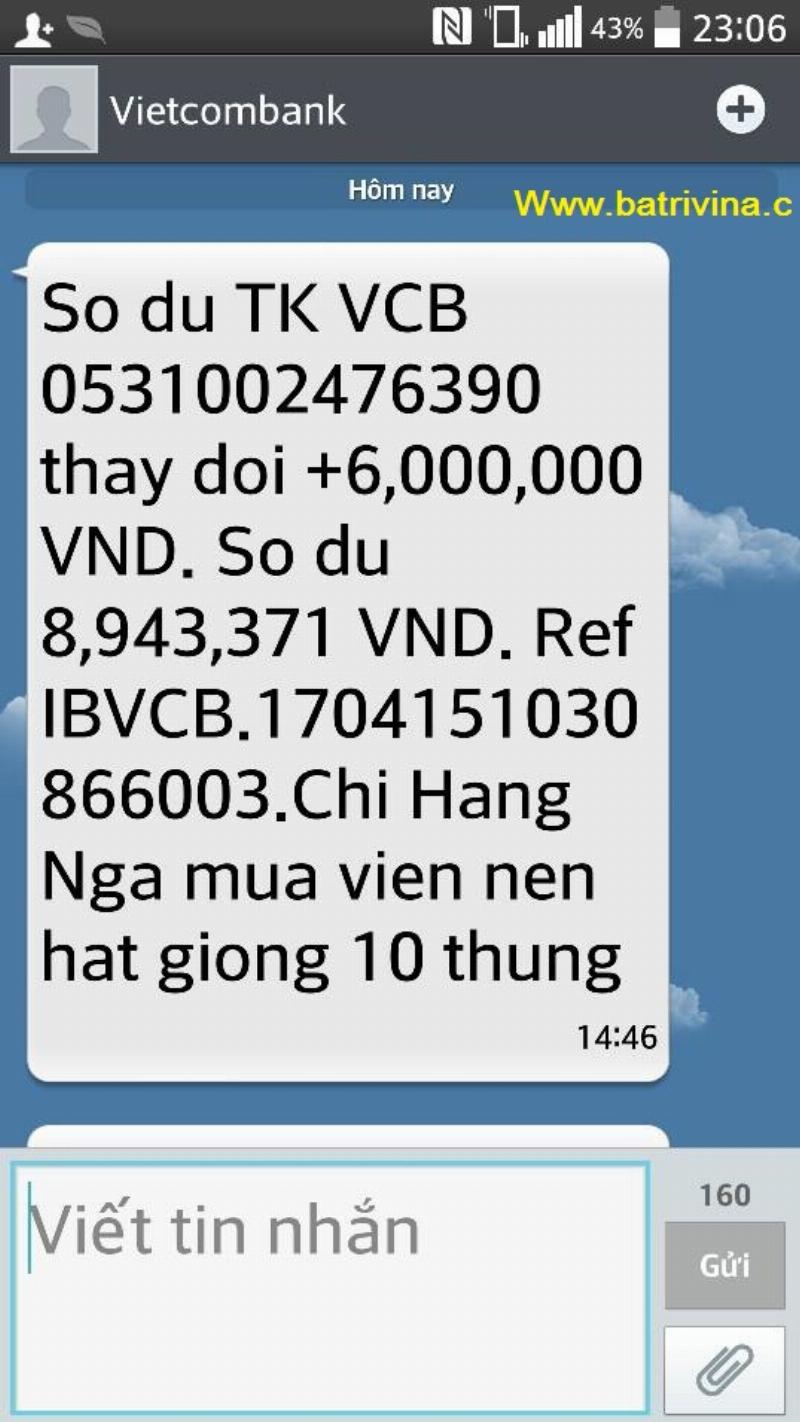 Bí quyết trồng hoa hồng leo đẹp rực rỡ với viên nén ươm hạt