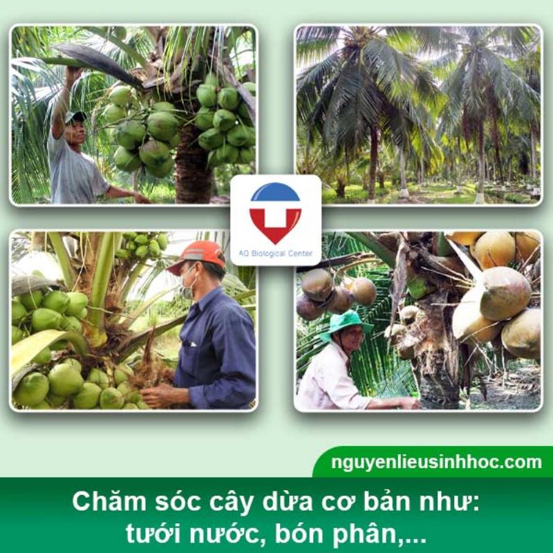 Sản phẩm Phy Fusaco