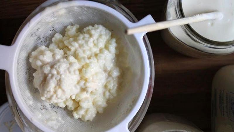 Bảo quản nấm sữa Kefir