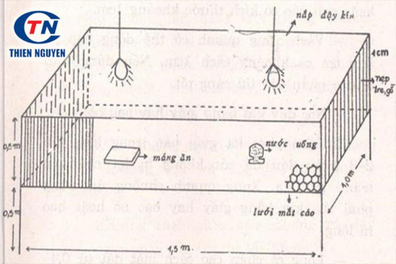 Chuồng nuôi chim cút thịt