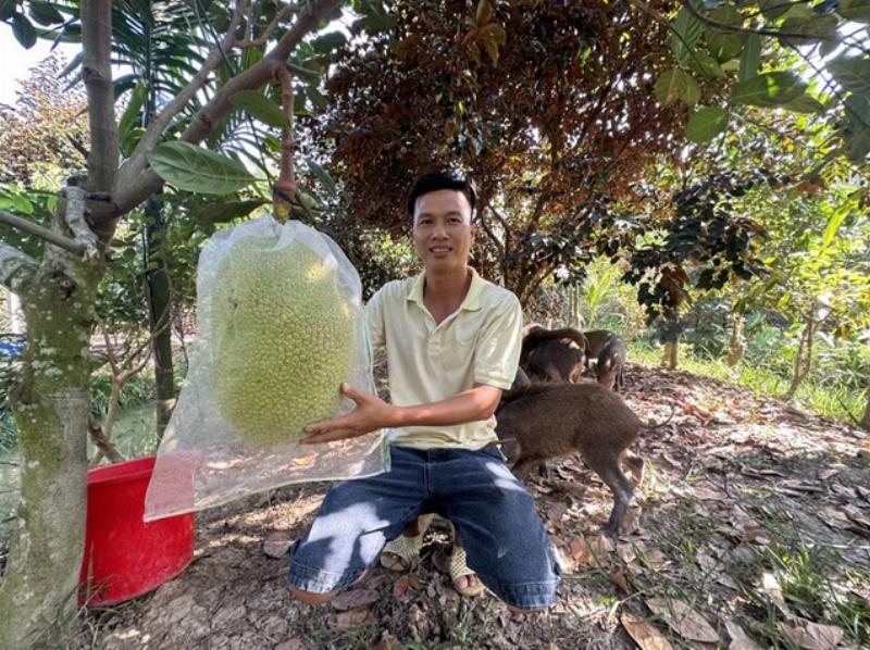 Nuôi Heo Rừng Trong Vườn Cây Ăn Trái: Bí Quyết Thu Nhập Hàng Trăm Triệu Đồng Mỗi Năm