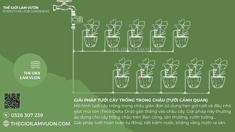 Đất trồng và phân bón cho kiểng lá