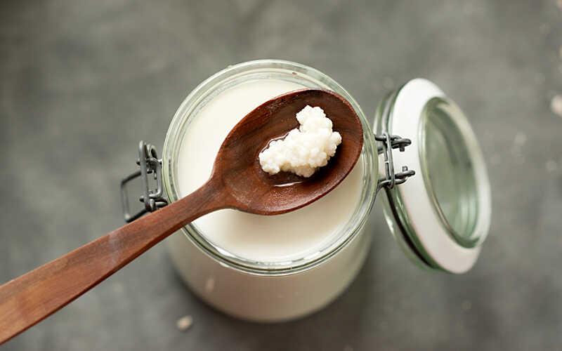 Bí Mật “Sức Khỏe Vàng” Từ Nấm Sữa Kefir: Cách Nuôi Và Sử Dụng Hiệu Quả