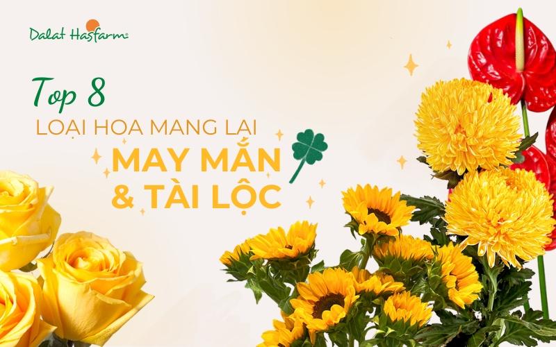 Cây bông trang đỏ rực rỡ, mang ý nghĩa phong thủy tốt đẹp, tượng trưng cho may mắn, tài lộc và hạnh phúc viên mãn.