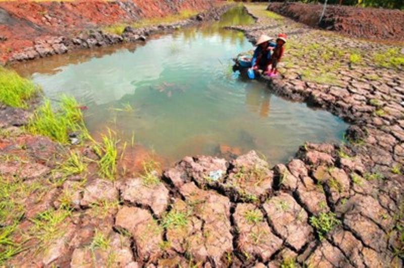 Người đang chăm sóc cây Phát Tài bằng cách lau lá và kiểm tra đất, thể hiện sự tận tâm và chu đáo.