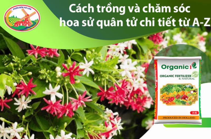 Chọn đất trồng hoa sử quân tử