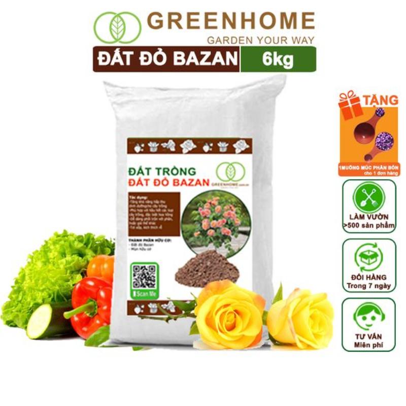 Đất đỏ bazan - Lựa chọn đất trồng tối ưu cho cây bơ