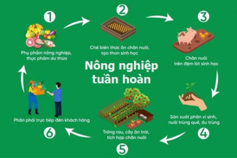 Thùng xốp EarthBox hoàn thiện, sẵn sàng trồng rau