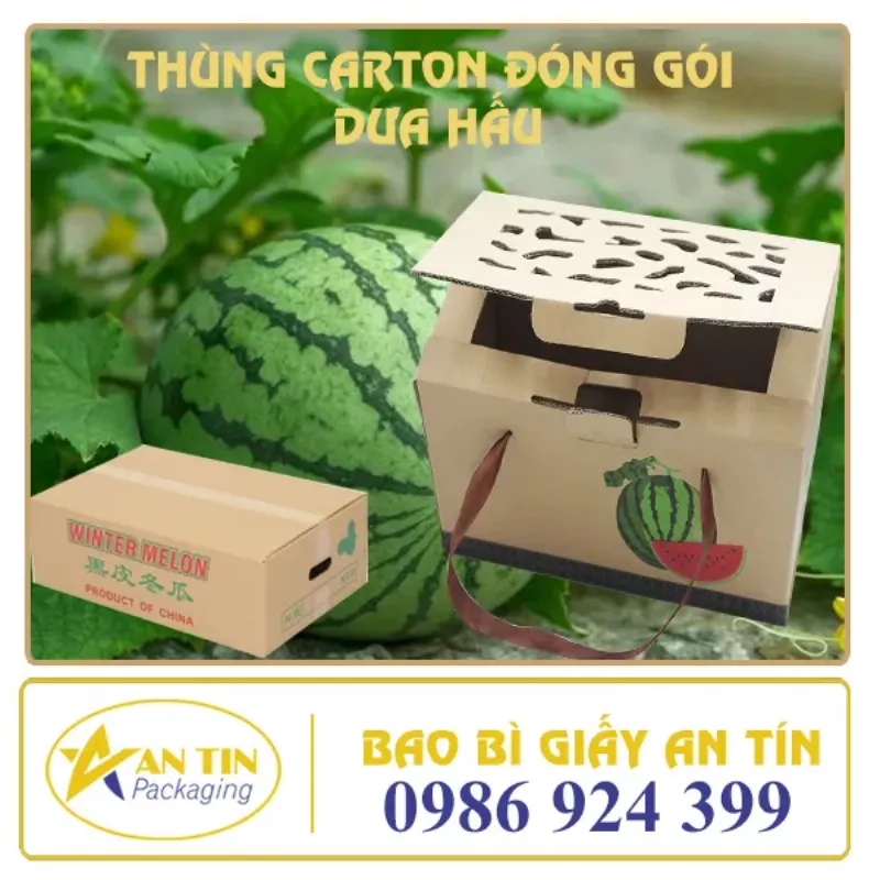 Thùng carton đóng gói dưa leo xuất khẩu, có lỗ thoáng khí.