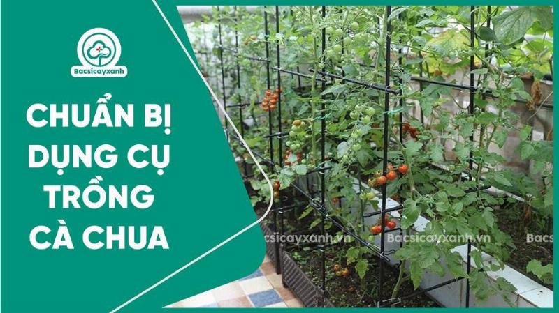 Vật dụng trồng bí xanh: hạt giống, thùng xốp, đất trồng, khay ươm, bình tưới, dụng cụ làm giàn.