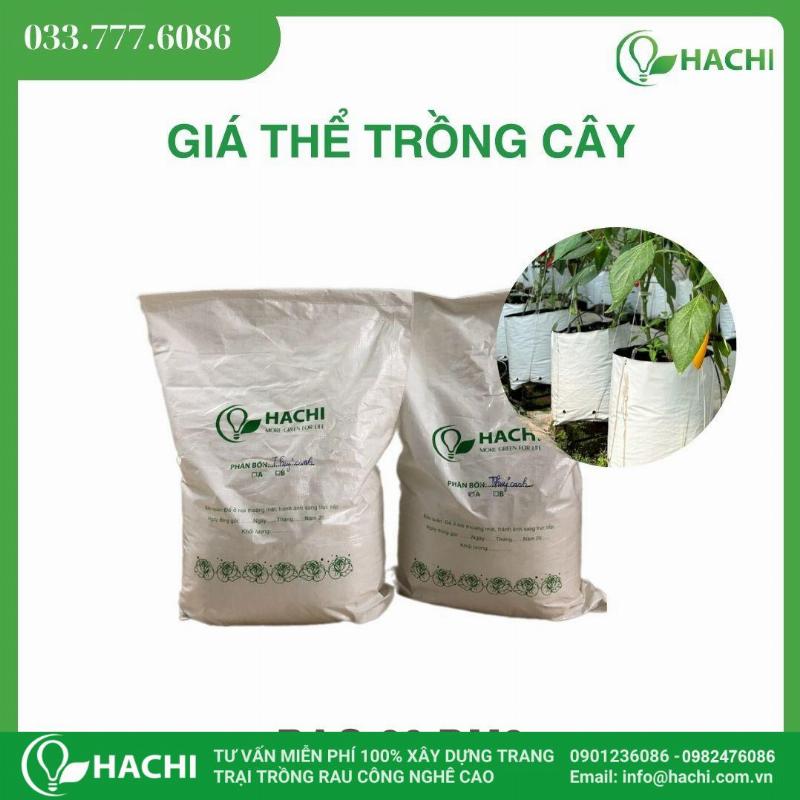 Xơ dừa - Giá thể lý tưởng cho hoa lan